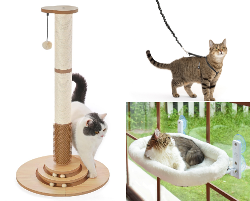 My Adventure Cat's Favorite Things cover photo collage