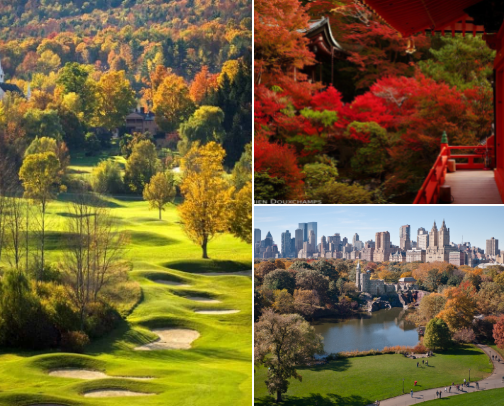 🍂 All Things Fall: Cozy Vibes, Foliage, and Seasonal Favorites cover photo collage