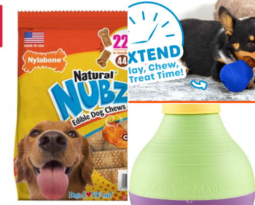 Give your dog homeWORK cover photo collage