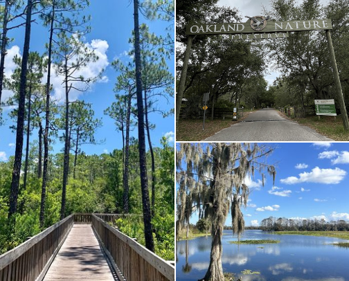 🌳 Best Hidden Parks Near Orlando cover photo collage