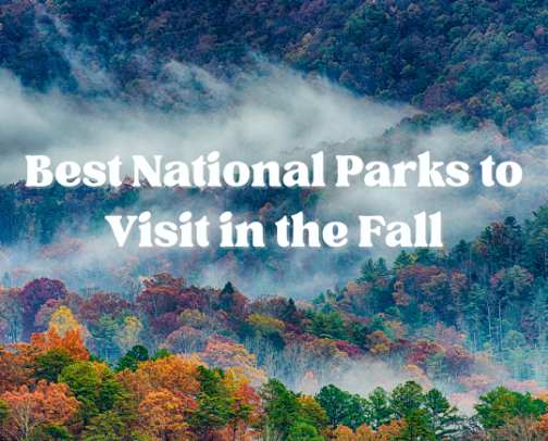 Best National Parks to Visit in the Fall cover photo collage