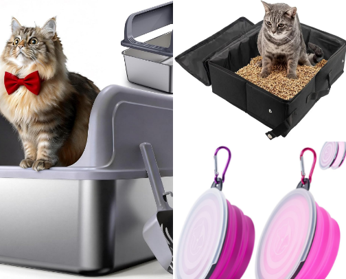 All things Kitten/Cat😻 cover photo collage