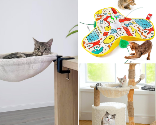 everything i've bought for my cats cover photo collage