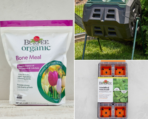 Beginner Garden Items Everyone NEEDS cover photo collage