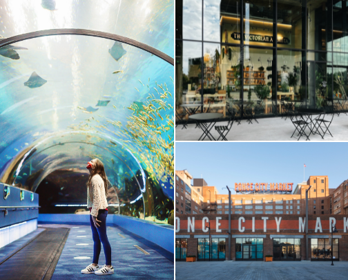 Places To Visit In Georgia cover photo collage