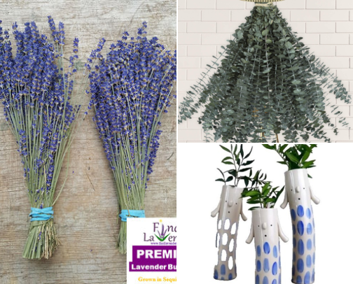 How Growing Dried Flowers Fixed My Stale Apartment Smell Problem cover photo collage