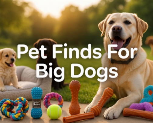 Pet Finds For Big Dogs cover photo collage