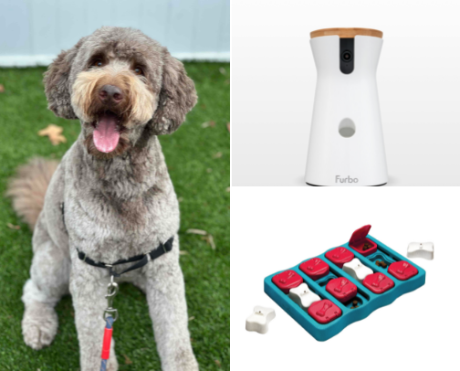 Dog Dad (or Mom) Must-Have’s cover photo collage