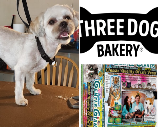 Some for the best pet friendly places I have found in Fargo. cover photo collage