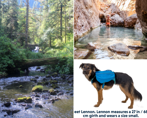 Get moving! Hikes, classes, water bottles, and attire cover photo collage
