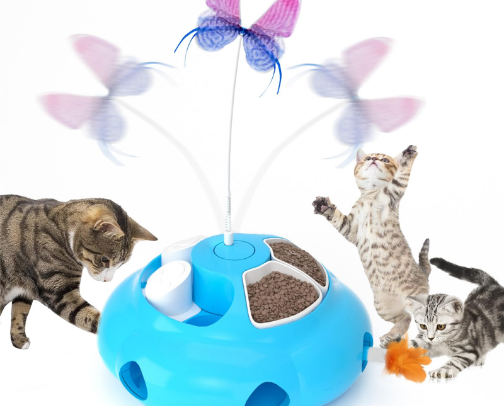 Indoor Cat Enrichment (No Bored Cats!) cover photo collage