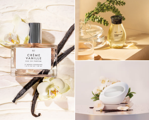 scents for the vanilla girlies🍦🤍 cover photo collage