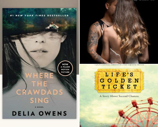 Current Book Crushes cover photo collage