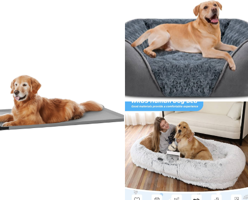 Dog Beds cover photo collage