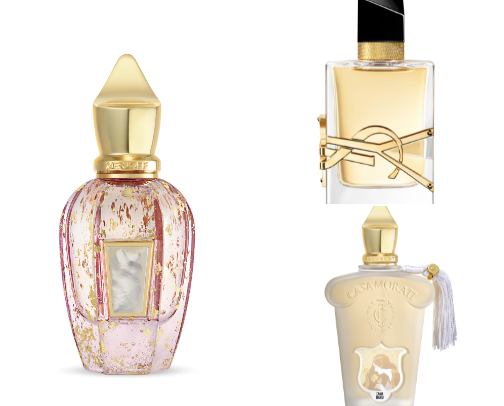 niche/my fav perfumes 🥂 cover photo collage