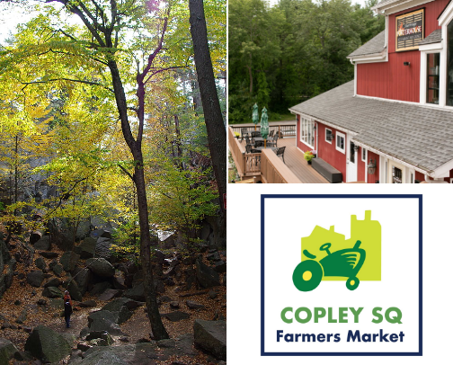 Places to visit in Massachusetts! cover photo collage