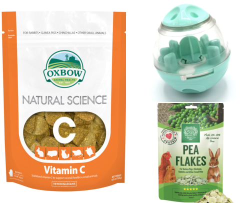 🥕 MUST-HAVE Guinea Pig Treats (Vet-Approved Picks) cover photo collage