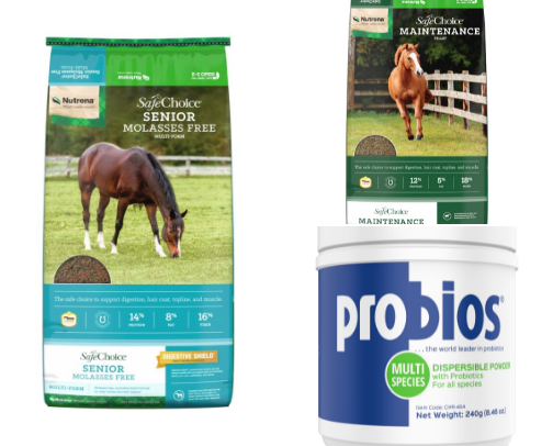 Horse care necessities cover photo collage