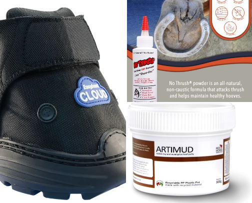 Horse hoof care cover photo collage