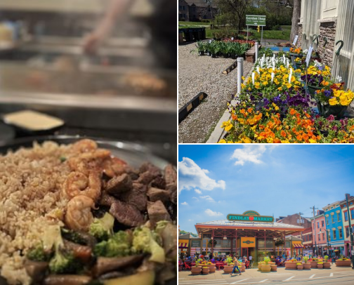 Best Local Finds that’ll make you a regular! cover photo collage