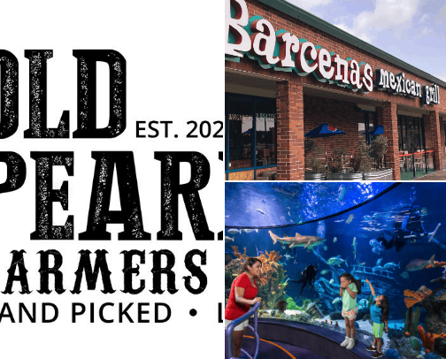 Places to enjoy in Houston with the Family. cover photo collage