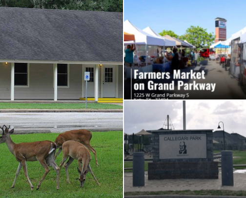 My new list cover photo collage