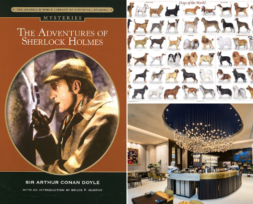My favorite book recs cover photo collage