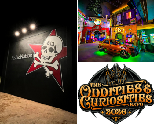 Places in the Denver area to shop/visit if you’re weird cover photo collage