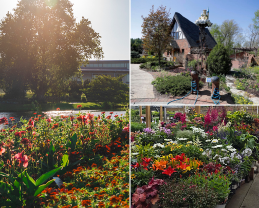 My Favorite Places To Walk + Enjoy Nature in Kansas City Metro Area cover photo collage