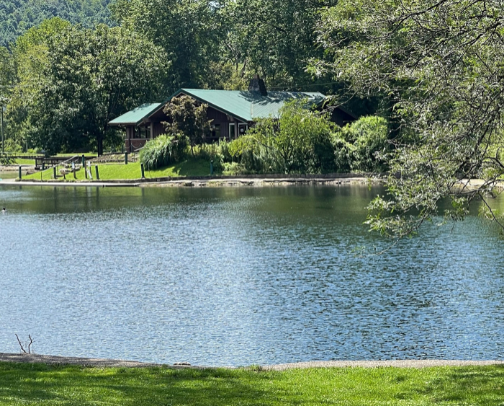 My new list cover photo collage