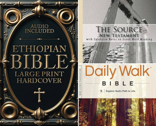 Bibles. Bibles Everywhere. cover photo collage