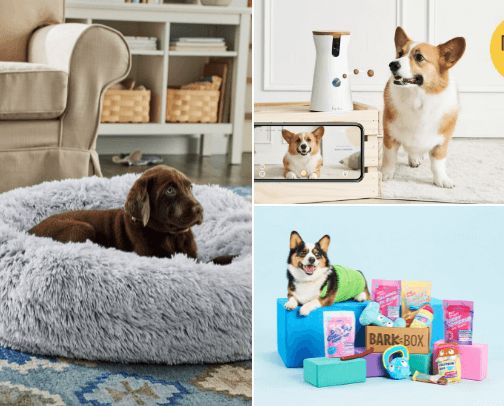 My Go-To Gift Guide: Perfect Picks for Every Personality cover photo collage