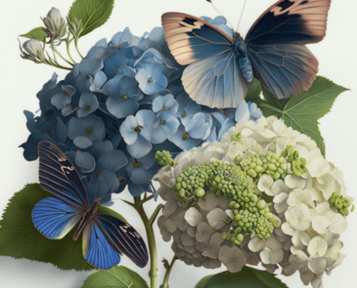 Garden Plants cover photo collage