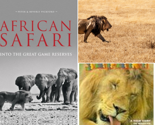Free PDF - Coffee Table Journeys with African Safari: Into the Great Game Reserves cover photo collage