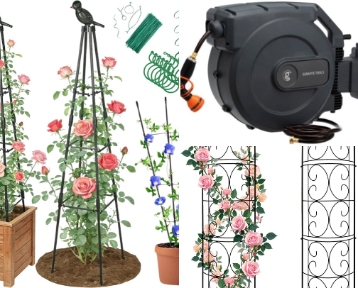 Build My Dream Kitchen Garden cover photo collage