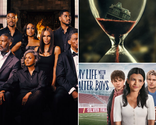 Netflix Recs🎬 cover photo collage