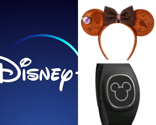 Going to Disney? READ ME cover photo collage