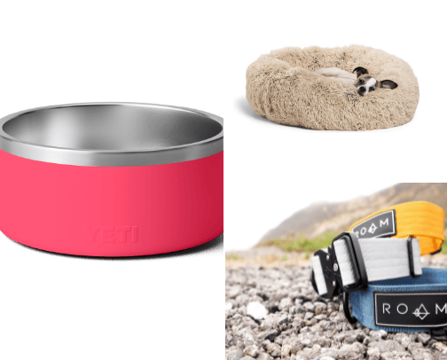 Dog Essentials cover photo collage