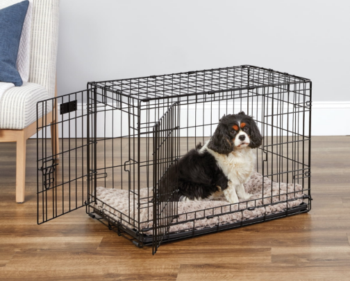 Must-Have Gear for Bringing Home a New Puppy 🐶 cover photo collage