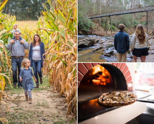 Slow Mountain Weekends in Ellijay, Georgia cover photo collage