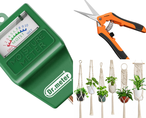 Gifts for Plant Lovers cover photo collage