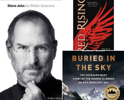 Holiday Gift Guide - Books cover photo collage