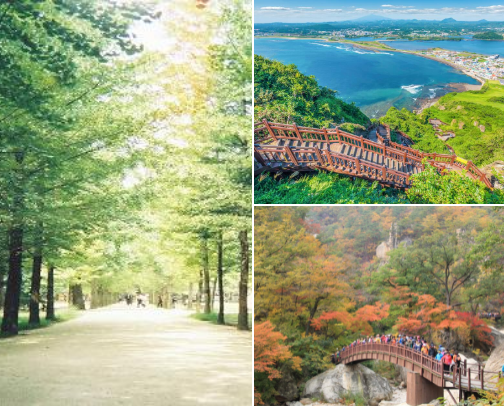 Timeless Nature Escapes in South Korea cover photo collage
