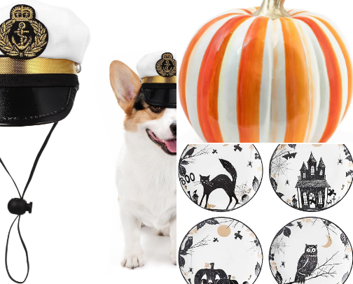 Halloween Everything 🧙‍♀️ cover photo collage