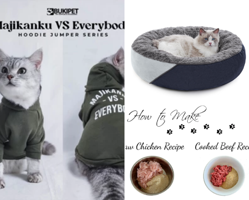 Cat owner essentials Part 2 cover photo collage