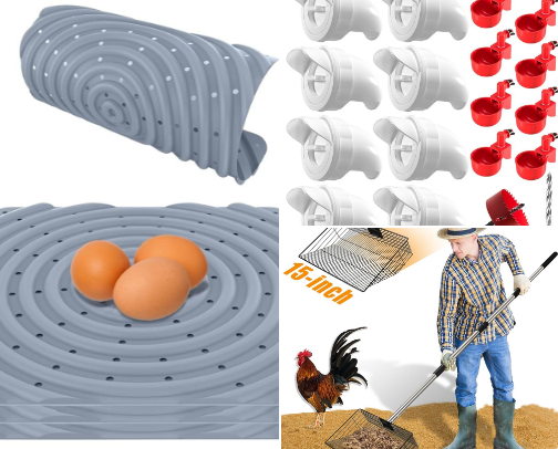 Chicken Coop Must Haves! 🐓 cover photo collage