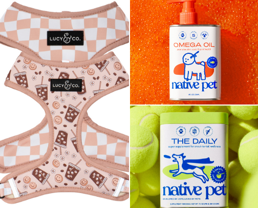 Senior Pet Must Haves! cover photo collage