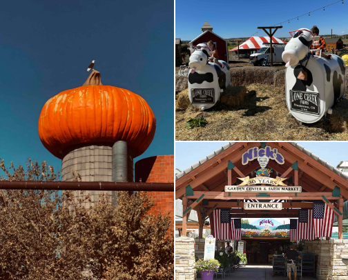Denver Fall Family Fun! cover photo collage