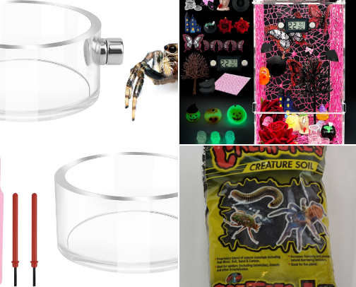 Jumping spider necessities cover photo collage