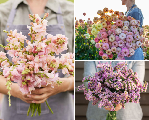 My Must Have Cottage Garden Annuals cover photo collage
